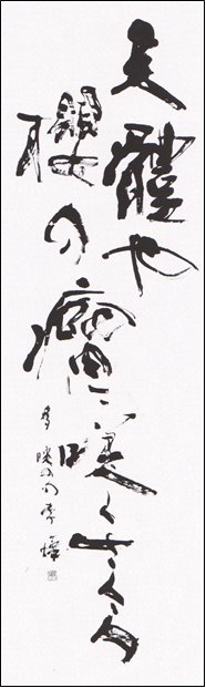 天體や櫻の瘤に咲くさくら